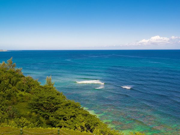 Princeville Condo 983411