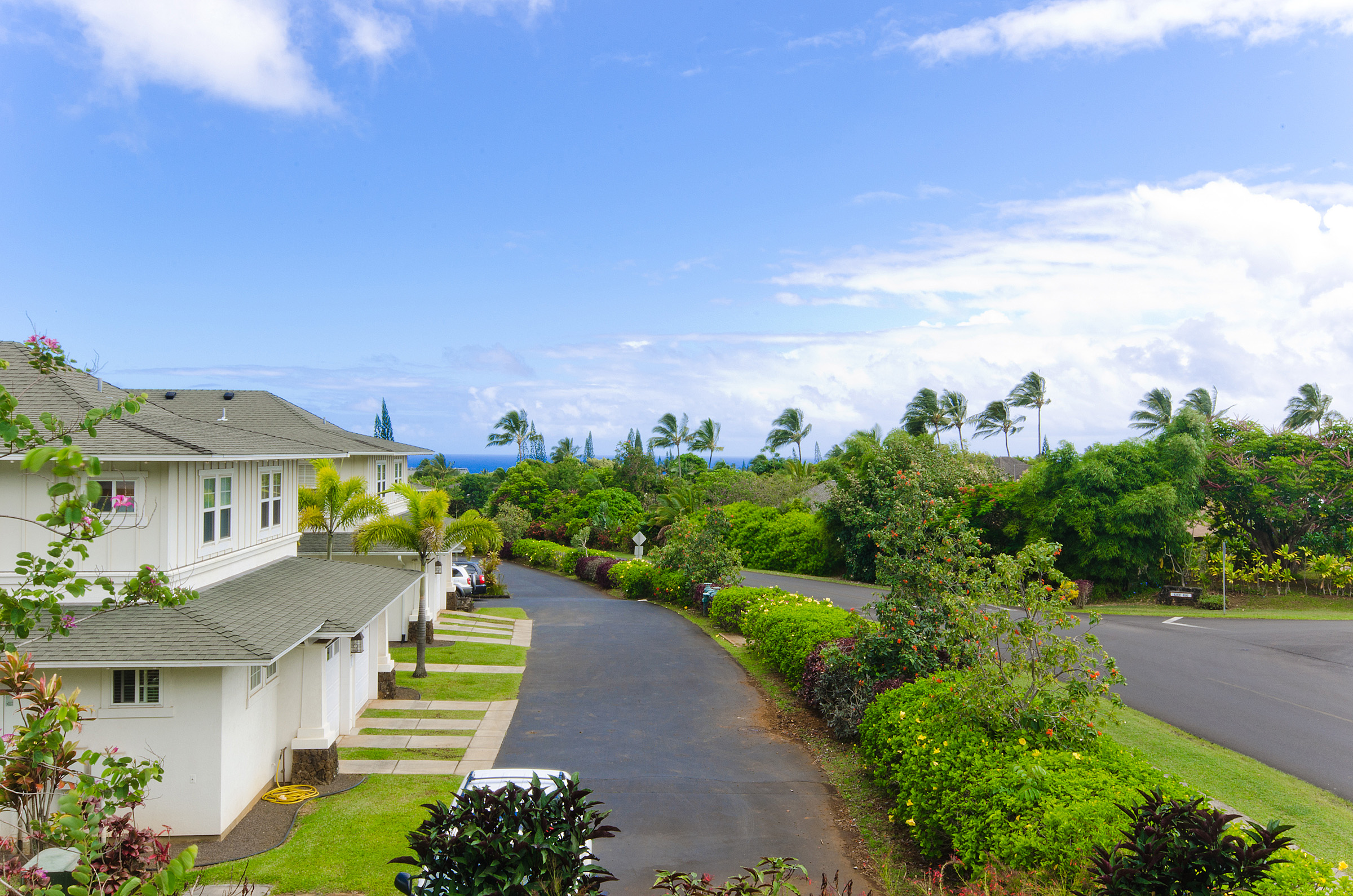 Princeville Condo 983412