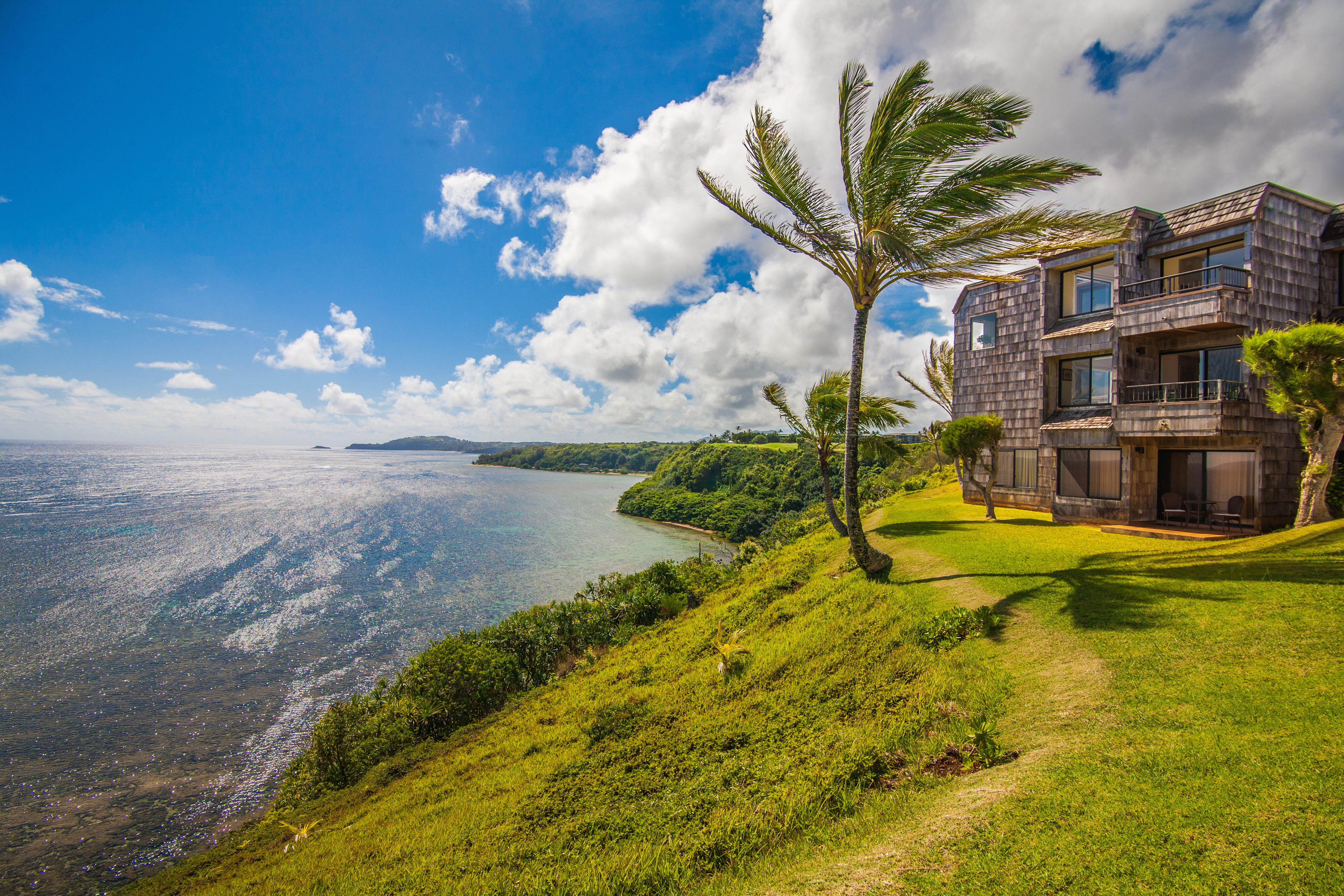 Princeville Condo 983413