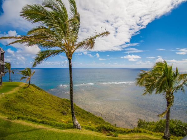 Princeville Condo 983413