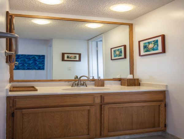 Princeville Condo 983413