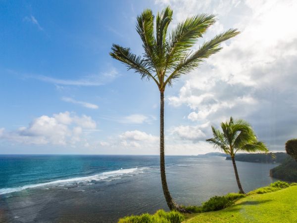 Princeville Condo 983415