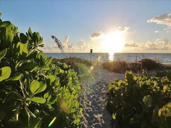 Indian Rocks Indian Shores Condo 983417