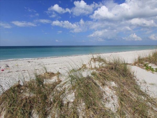 Indian Rocks Indian Shores Condo 983417