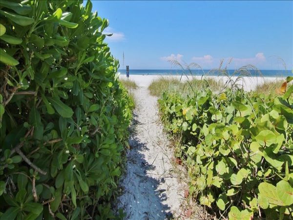 Indian Shores Ai Condo 983418
