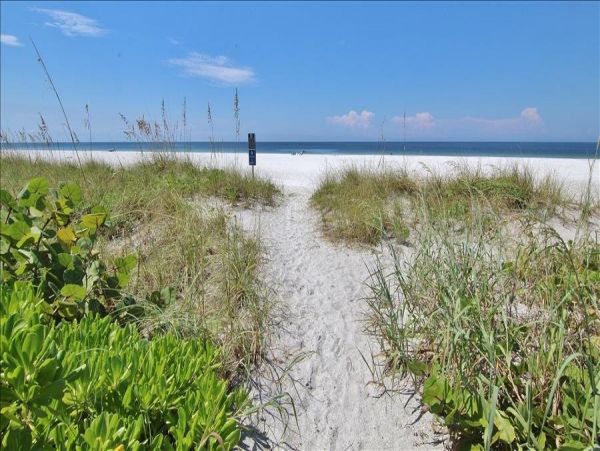 Indian Shores Ai Condo 983419