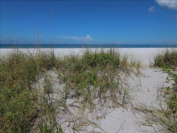 Indian Shores Ai Condo 983419