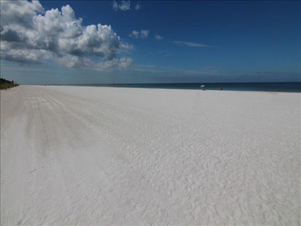 Indian Shores Ai Condo 983419