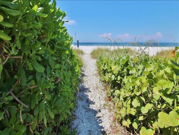 Gulf Front Belleair Vacation Condo One Bedroom