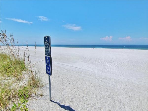 Gulf Front Belleair Vacation Condo One Bedroom