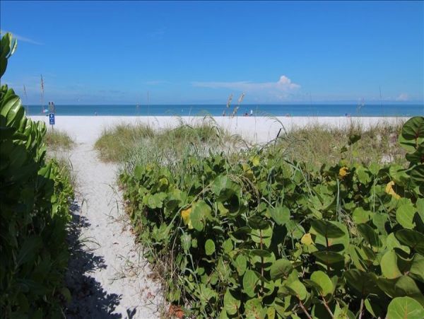 Gulf Front Belleair Vacation Condo One Bedroom
