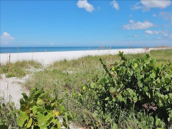 Gulf Front Belleair Vacation Condo One Bedroom
