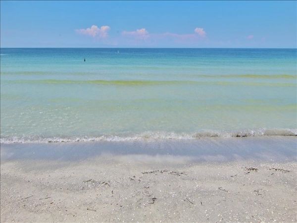 Gulf Front Belleair Vacation Condo One Bedroom