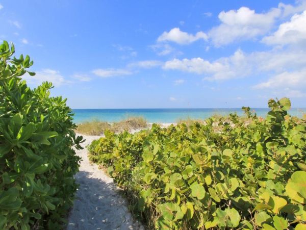 Oceanfront Vacation Rental – Gulf Coast Beachfront Condo