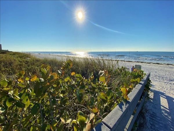 Indian Rocks Indian Shores Condo 983425