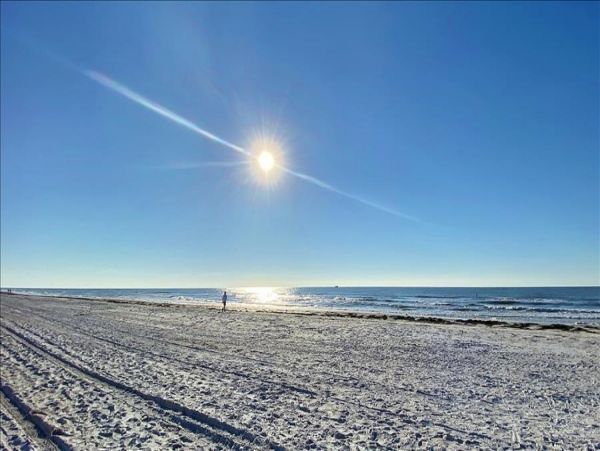 Indian Rocks Indian Shores Condo 983425