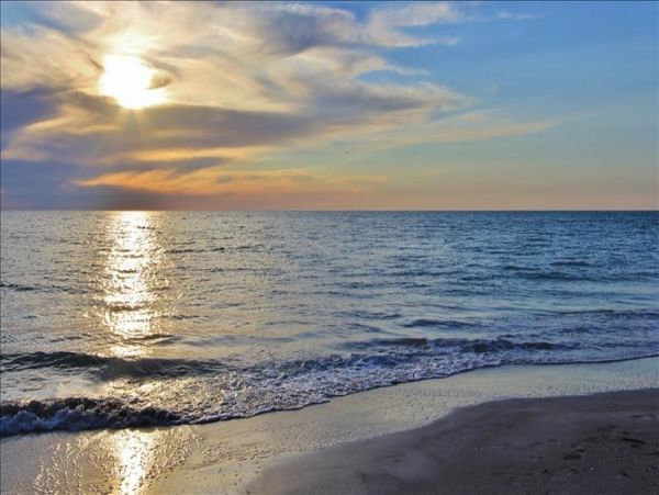 Indian Shores Ai Condo 983437