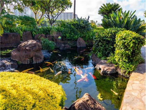 Kapolei Condo 983481