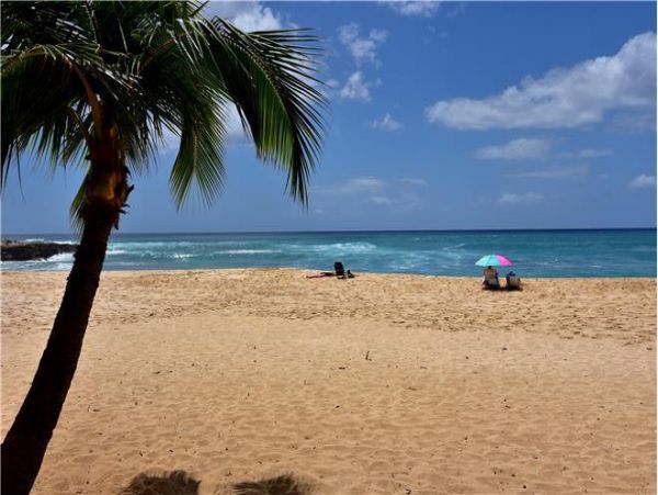 Kapolei Condo 983493