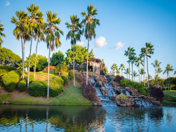Kapolei Condo 983501