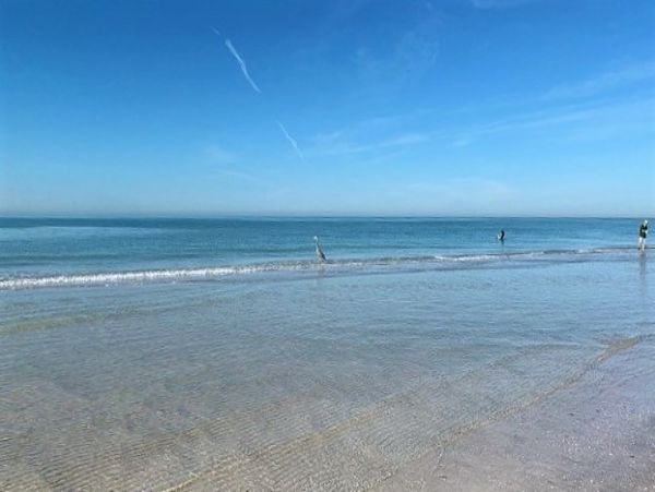 Indian Rocks Indian Shores Condo 983504