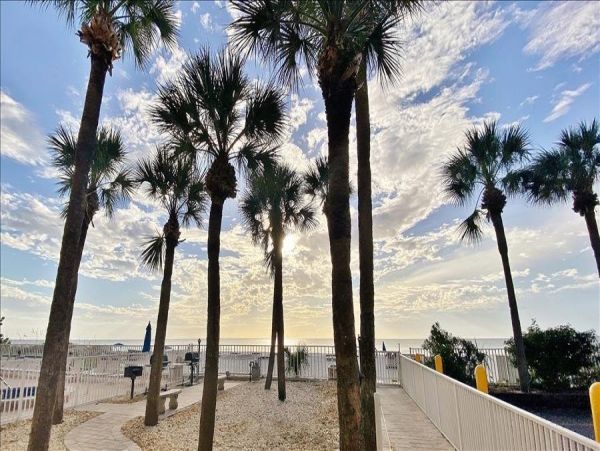 Indian Rocks Indian Shores Condo 983509