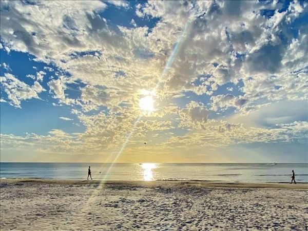 Indian Rocks Indian Shores Condo 983509