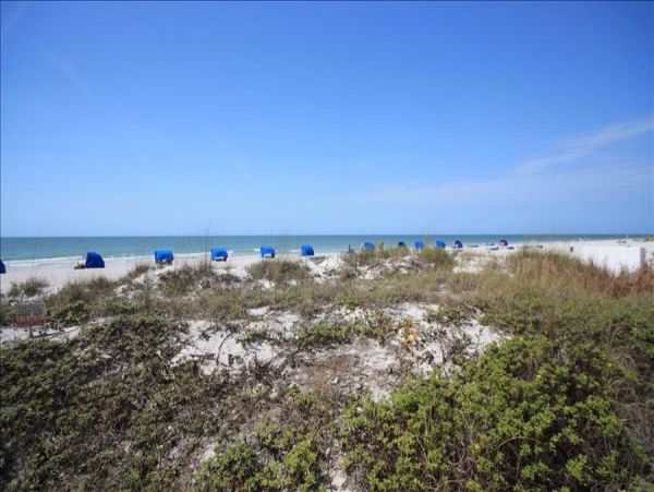 Indian Rocks Indian Shores Condo 983511