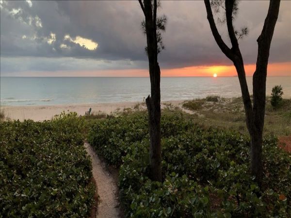Indian Rocks Indian Shores Condo 983514