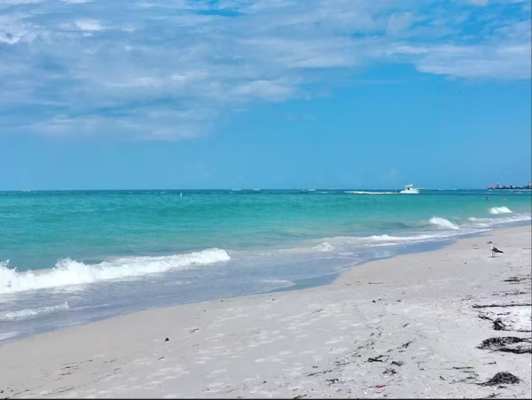 Indian Shores Luxury Beach Condo with Beach Views