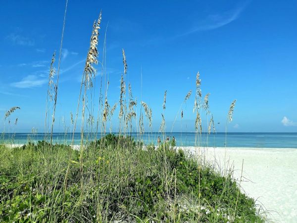 BEACHFRONT 2 BEDROOM CONDO WITH FULL GULF VIEW!