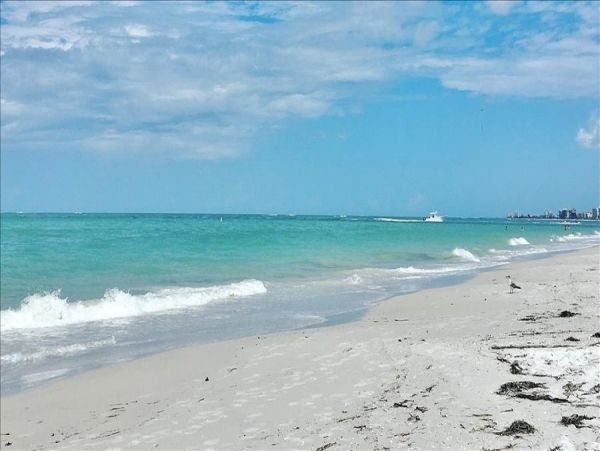 Indian Rocks Indian Shores Condo 983527