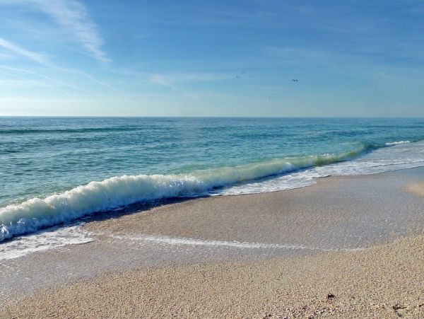 Indian Shores Beachfront Vacation Rental - Gulf Coast Condo