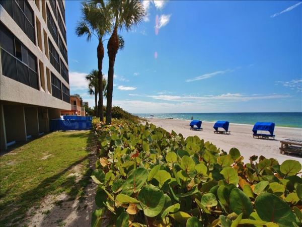 Indian Rocks Indian Shores Condo 983558
