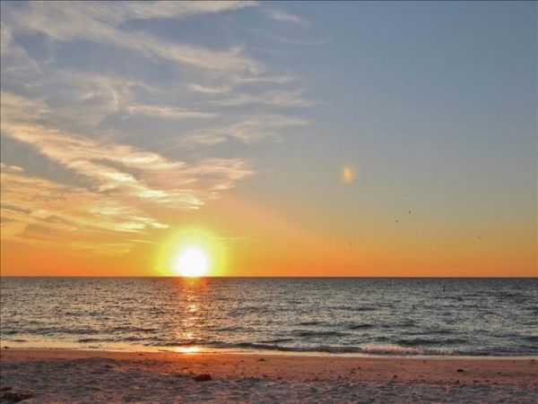 Indian Shores Ai Condo 983571