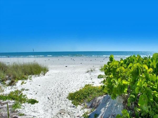 Indian Shores Ai Condo 983584