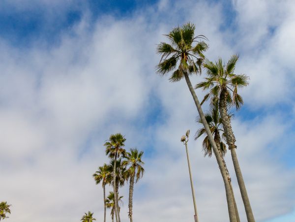 Newport Beach Home 983597