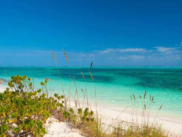 Turks And Caicos Home 983647