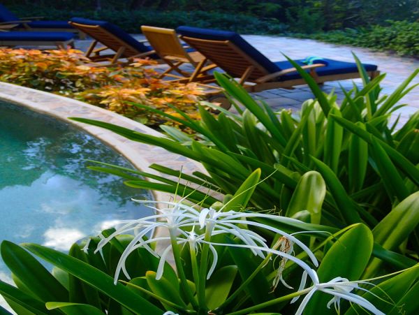 British Virgin Islands Home 983654
