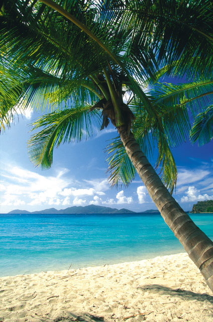 Turks And Caicos Home 983668
