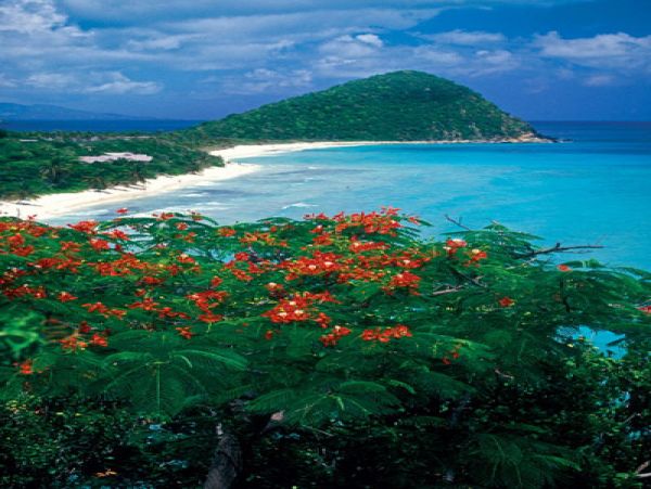 Turks And Caicos Home 983668