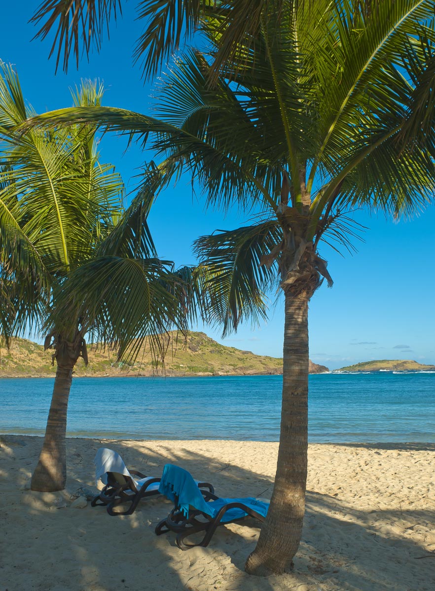 St. Barts Home 983674