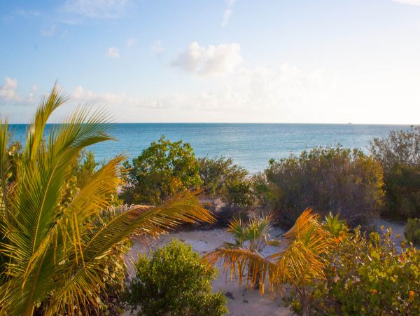 Turks And Caicos Home 983681
