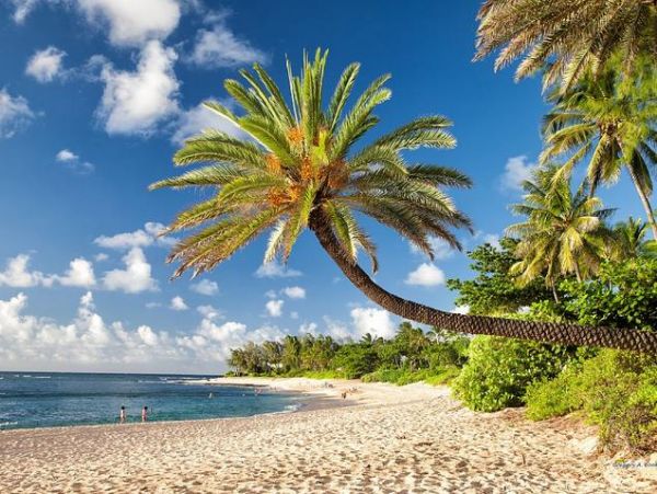 On Beach Oahu Vacation Condo Three Bedroom