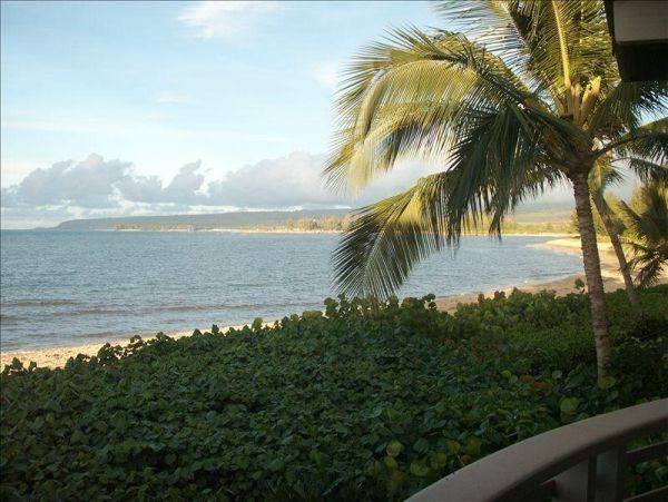 Northshore Oahu Home 983700