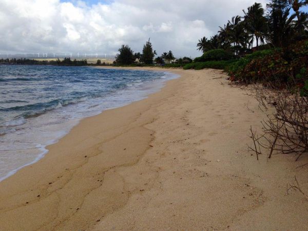 Northshore Oahu Home 983700