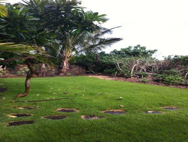 Northshore Oahu Home 983700