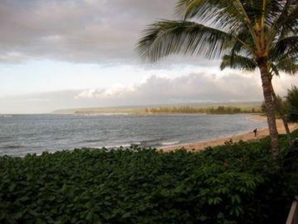 Northshore Oahu Home 983700