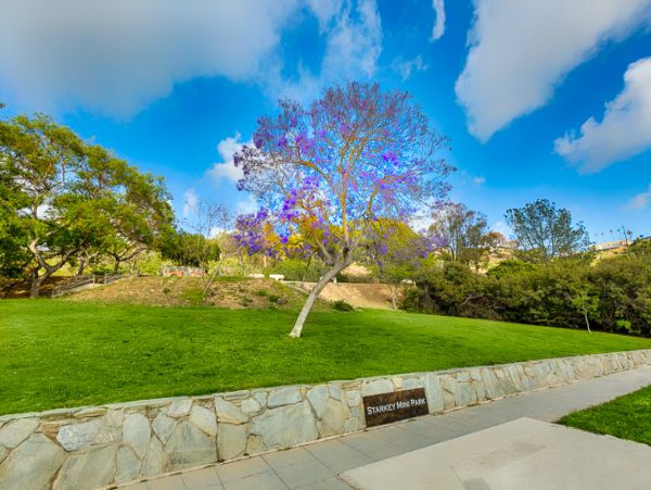 La Jolla Condo 983720