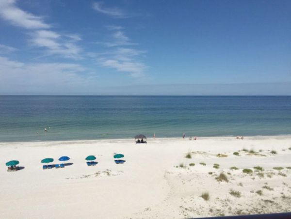 Indian Shores Ai Condo 983848